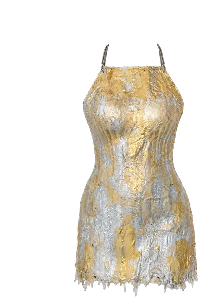 Gilded Lace Mini Dress