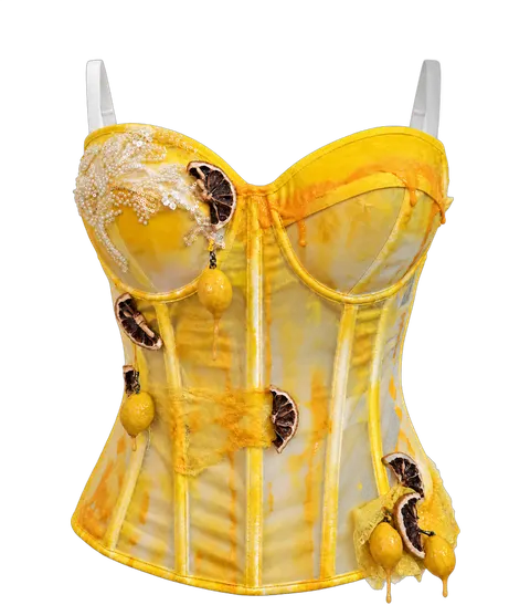 Citrus Corset