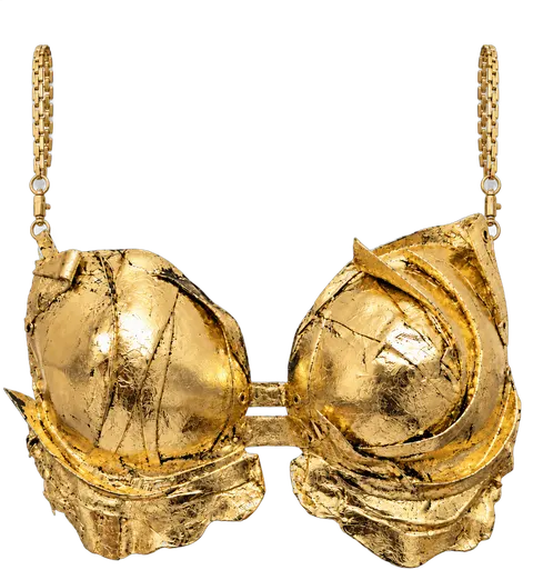 Golden Armour Bustier
